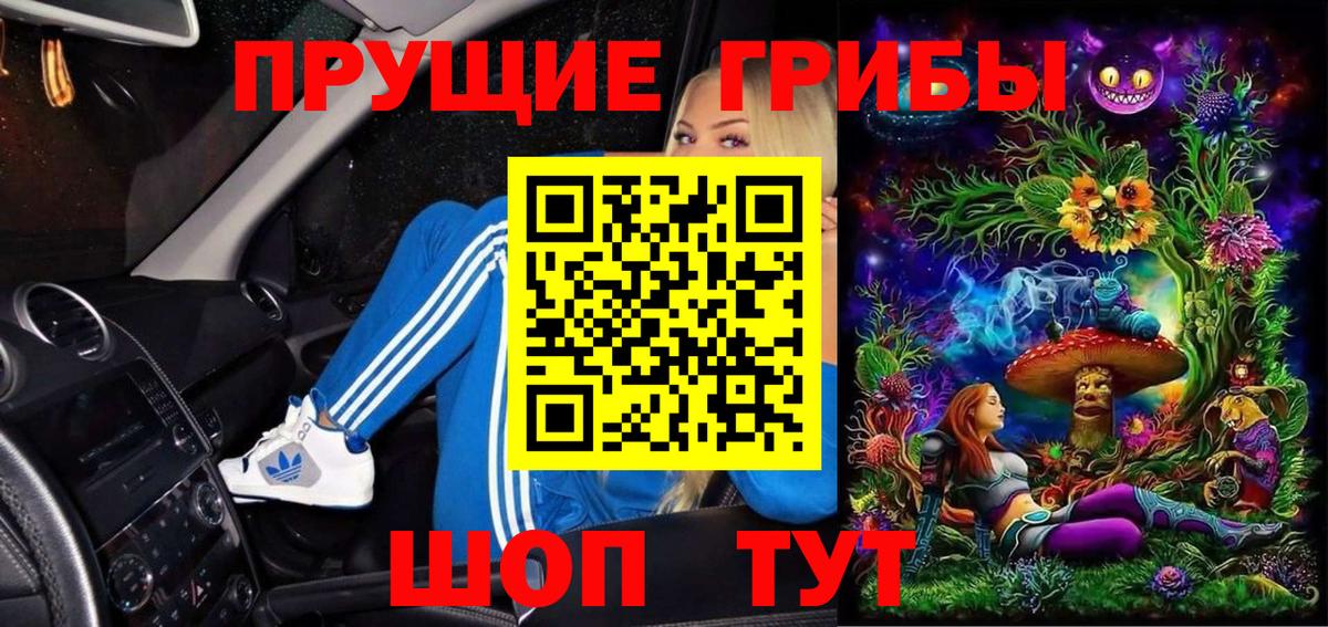 Сосновоборск  Псилоцибиновые грибы ЛСД  купить наркотики цена  Вход с VPN 